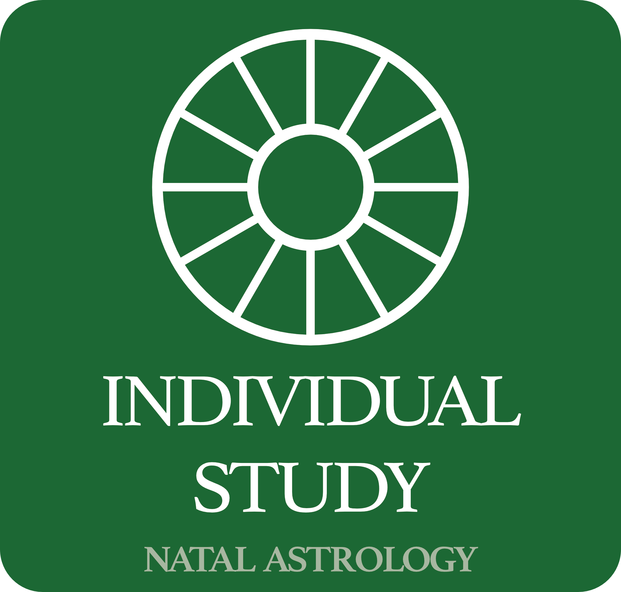 Individual Study (natal Astrology Consultation)